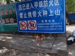 -白水寺森林公园