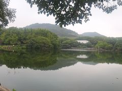 -白马涧龙池景区