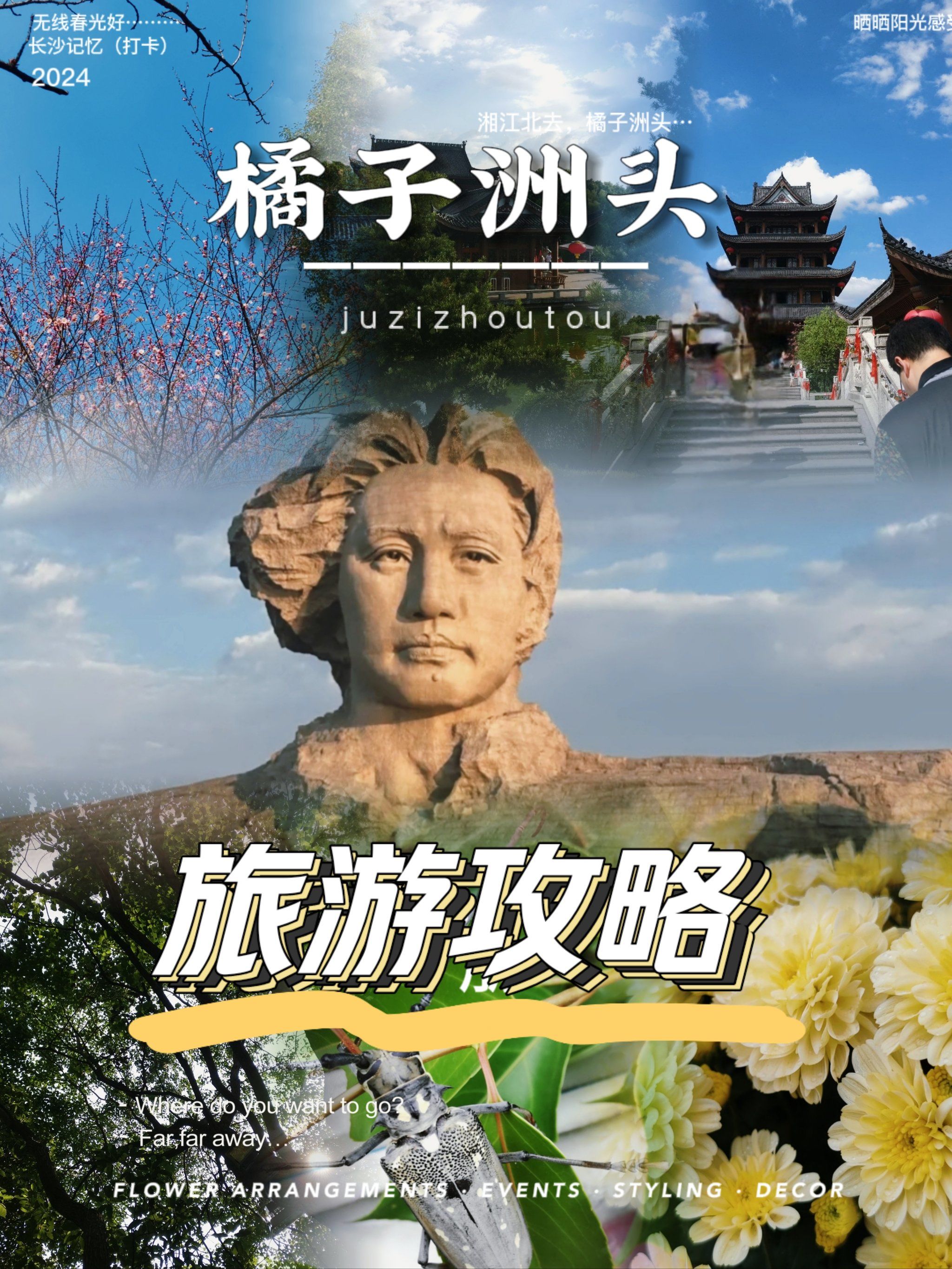 🍊橘子洲怎么玩❓