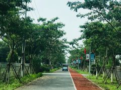 -上海长兴岛郊野公园