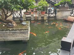 -猪肉婆私房菜(容桂总店)