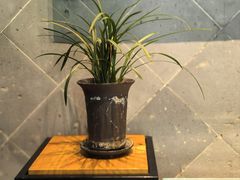 -兰亭风景区