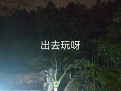 -天怡·鱼工厂(梅溪湖店)