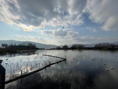 -怡得观滇餐厅·地道昆明菜·1996(海埂大坝店)