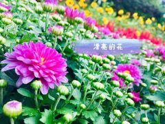 -横琴购口岸商业广场