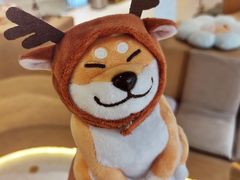 -柴务处·柴犬主题狗咖