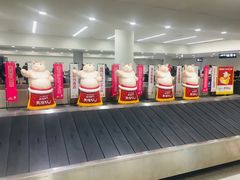 -矢场猪(名古屋站三井楼北馆店)