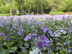 -郑州中国绿化博览园