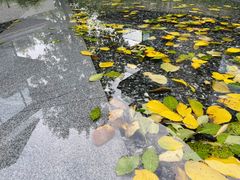 -木守西溪溪隐餐厅