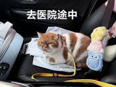-美联众合24小时·皮肤科·外科·全科诊疗中心(华苑分院)