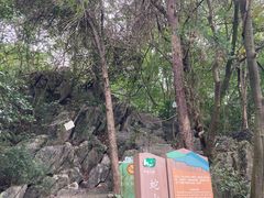 -花溪公园