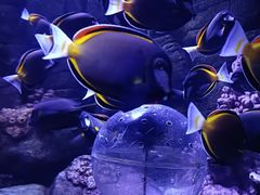 -成都浩海立方海洋公园