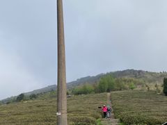 -东白山