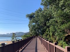 -梧桐山风景名胜区