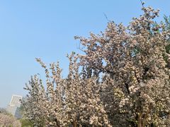 -元大都城垣遗址公园