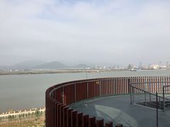 -芒洲湿地公园