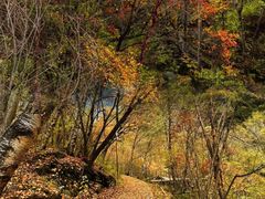 -叠溪松坪沟景区