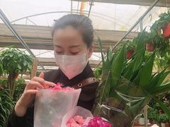 -秦美花卉(天朗·莱茵小城2期店)