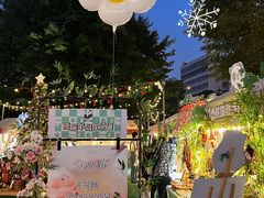-岭南站NOVA