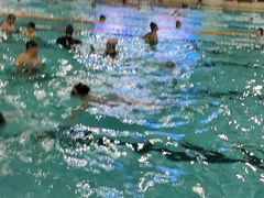 -小海豚国际游泳培训中心(浦东源深体育中心店)