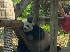 -大连森林动物园