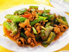 青椒炒脆鱼肚-黎记大排档(慈云路店)