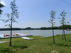 -上海海湾国家森林公园