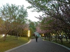 -苏州河梦清园环保主题公园