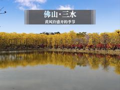 -佛山市三水温泉度假村