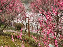 -重庆彩云湖湿地公园
