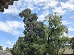 -承恩寺