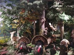 -陕西自然博物馆