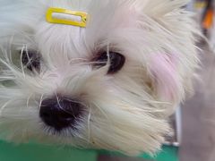 -佛山京华广场MALL