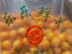 -乐乐鲜果水果超市(河北店)