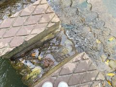 -平乐古镇
