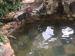 -深业半汤御泉庄温泉