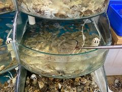 -仙螺岛海鲜自助餐厅(总店)