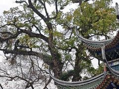 -南华寺素食馆(南华禅寺店)