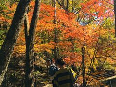 -丹东天桥沟景区