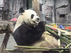 -栾川竹海野生动物园