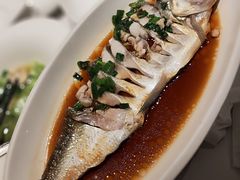 -金美华轩(东方路齐鲁店)