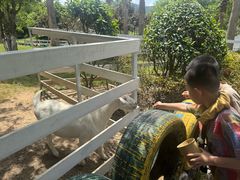 -宁波九龙湖开元度假村