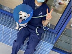 -伟伟宠物医院·CT影像中心·瑞派犬猫综合性门诊(汉口总院)