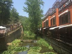 -Local泰莲庭(虹鳟鱼店)