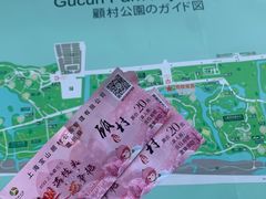 -顾村公园