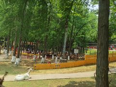 -张公山寨景区