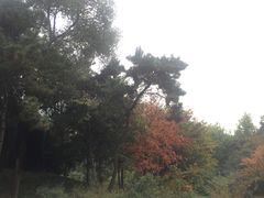 -北京宽沟会议中心