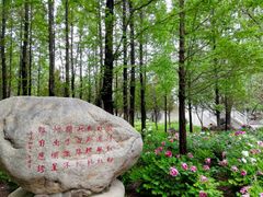-洛阳市隋唐城遗址植物园