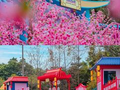 -广州长隆欢乐世界