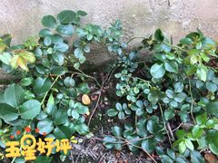 -中国杭州低碳科技馆